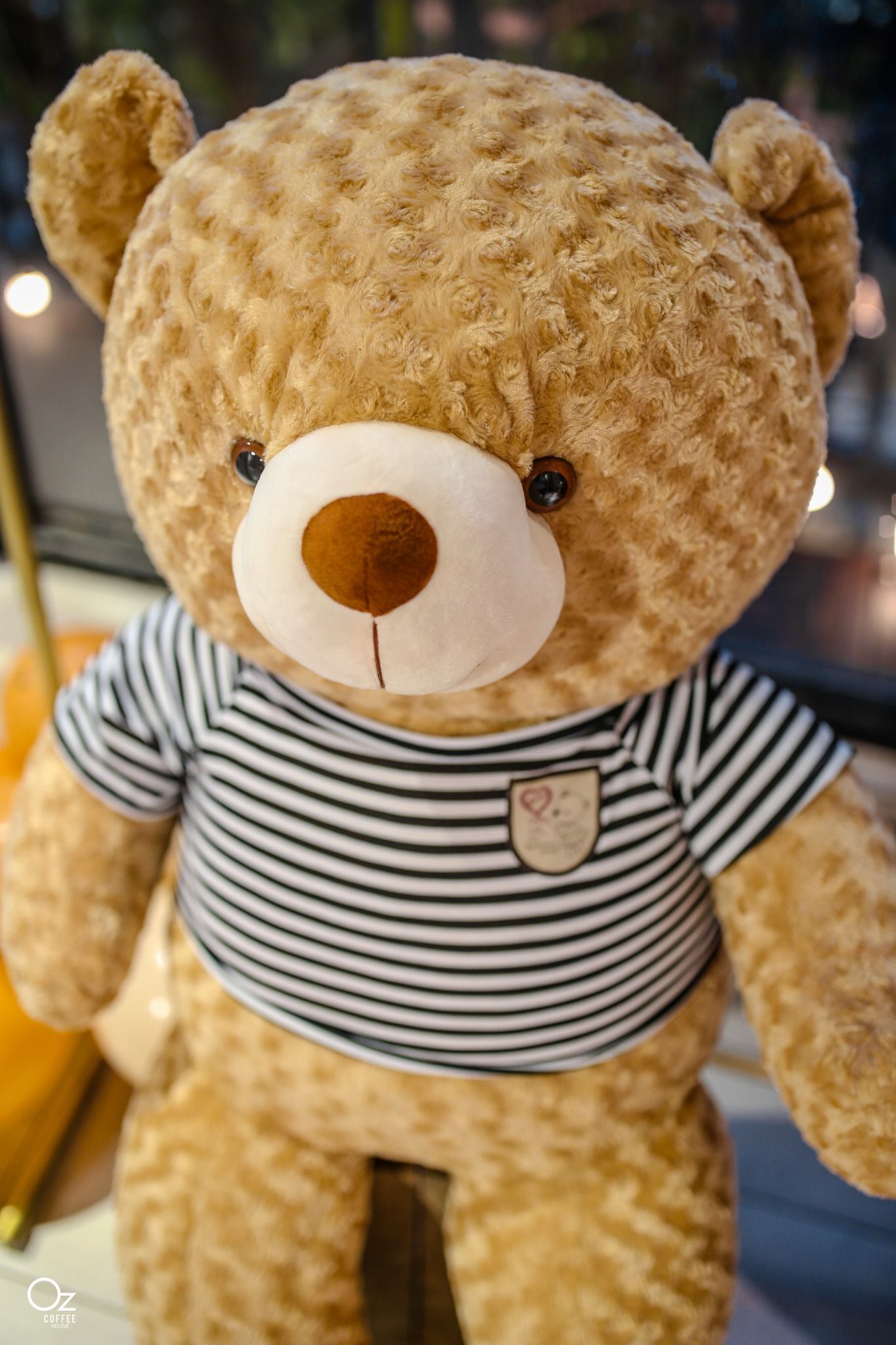  PRIVATE - CONCEPT GẤU BÔNG - B5 ROOM - GROUP - OZ_HTC 