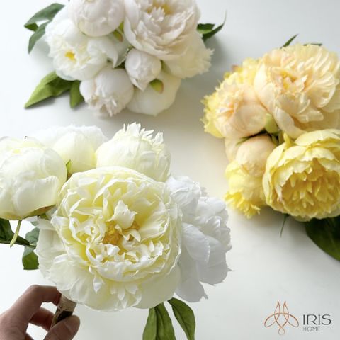 Hoa mẫu đơn chùm