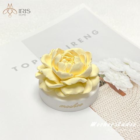 Đá khuếch tán hoa trang trí