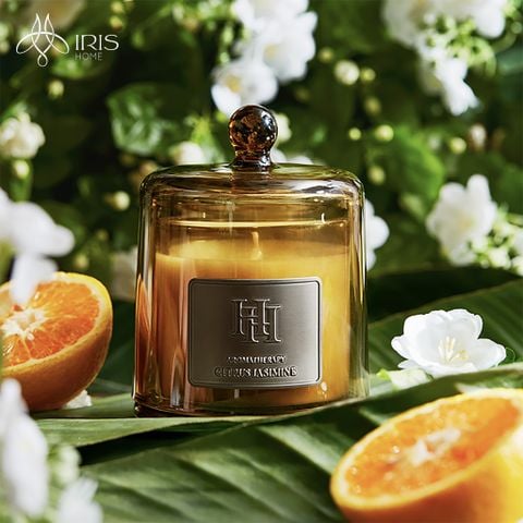 Nến thơm có nắp Citrus Jasmine Hãng Harbor House Mỹ