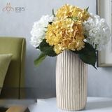 Hoa cẩm tú cầu vàng