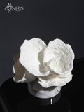 Tượng trang trí san hô hình hoa resin, đế vân đá marble
