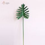 Lá trầu bà thanh xuân