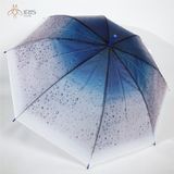 Ô cầm tay nhựa mờ màu xanh gradient
