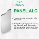  Tấm panel bê tông khí chưng áp kích thước 1200x600x100mm 