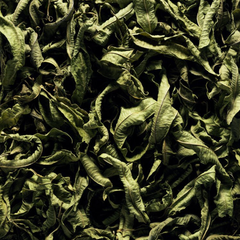 Nến Jacqueline / figue x verveine