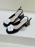  CAO GÓT NAGASHOES ĐÍNH HOA TRÀ GÓT VUÔNG 5P NAC317 