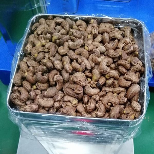 Hạt điều rang muối loại A VN