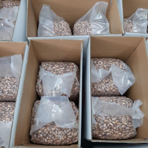 Hạt điều rang muối loại A VN