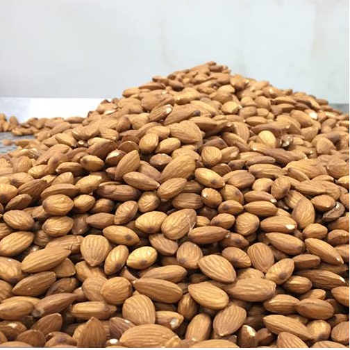 Hạnh nhân tươi nhập khẩu Mỹ - Túi 1kg