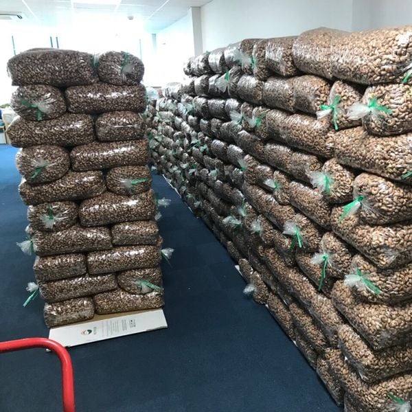 Hạt điều rang muối loại A VN