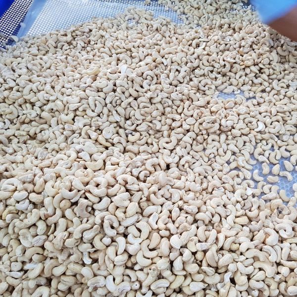 Hạt điều tươi nhân trắng W240 - Túi 1kg