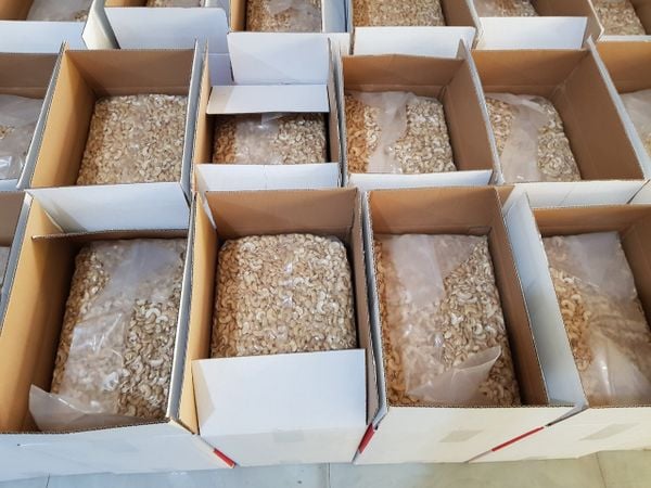 Hạt điều tươi nhân trắng vỡ đôi WS - Túi 1kg