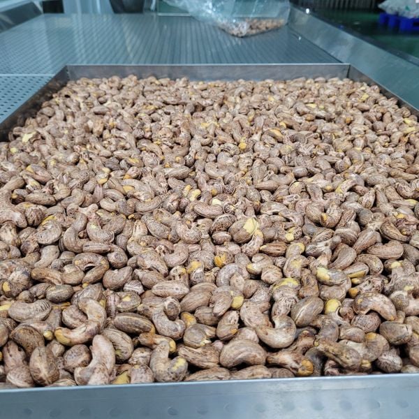 Hạt điều rang muối A ++ VN