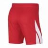 Nike chính hãng - Quần NIKE NATIONAL SHORTS