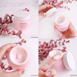  Kem Dưỡng Nâng Tông Da Hoa Anh Đào INNISFREE Tone Up/Jelly Jeju Cherry Blossom Cream - 50ml 