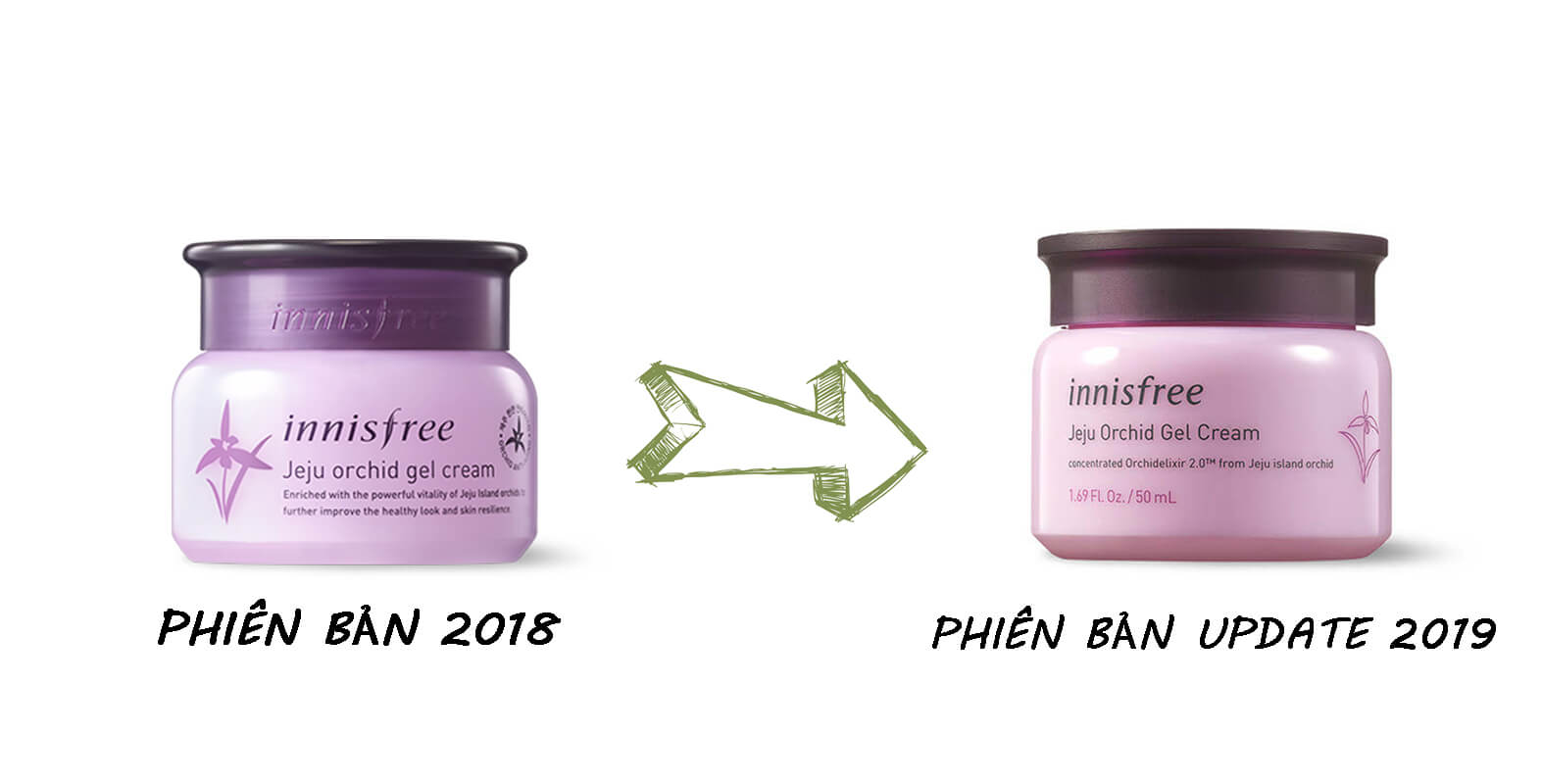 Kem Dưỡng Da Chống Lão Hóa Innisfree Jeju Orchid Gel Cream phiên bản update 2019