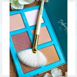  Bảng Phấn Bắt Sáng Highlight 6 Ô Kèm Cọ MORPHE X BRETMAN Babe In Paradise 