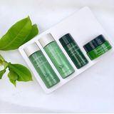  Kit Set 4 Món Dưỡng Da Dùng Thử INNISFREE Green Tea Special Kit EX 