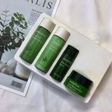  Kit Set 4 Món Dưỡng Da Dùng Thử INNISFREE Green Tea Special Kit EX 