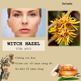  Gel Dưỡng Ẩm Chăm Sóc Da Mụn, Mờ Thâm, Sẹo Derladie Witch Hazel Perfect Vitamin Gel Cream 55ml 