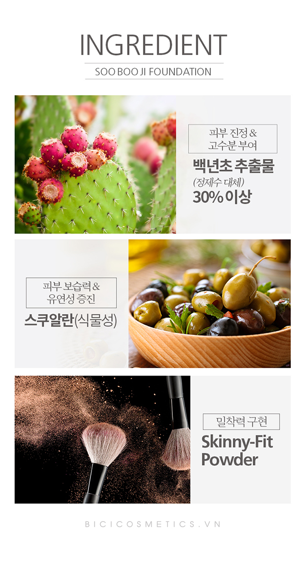 A'Pieu Soo Boo Ji Foundation - Bici Cosmetics10