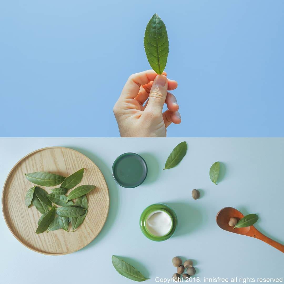 Nước Hoa Hồng Innisfree Green Tea Seed Skin được sản xuất ngay tại cánh đồng trà xanh trên đảo Jeju