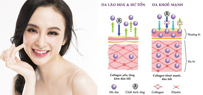 peptide là gì - chống lão hóa - bicicosmetics.vn