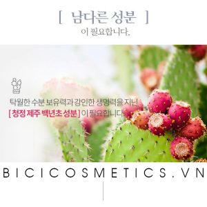 Cushion A'PIEU Soo Boo Ji 4- Bici Cosmetics