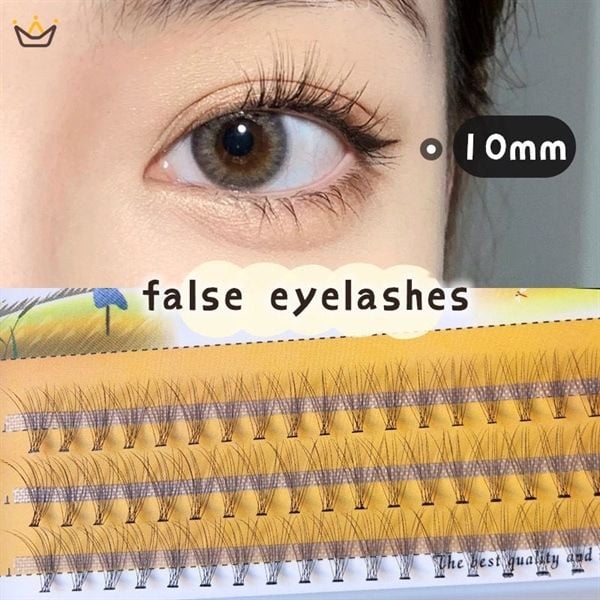  Set 60 Lông Mi Giả 10D Tự Nhiên NESURA Eyelash Nội Địa Trung 