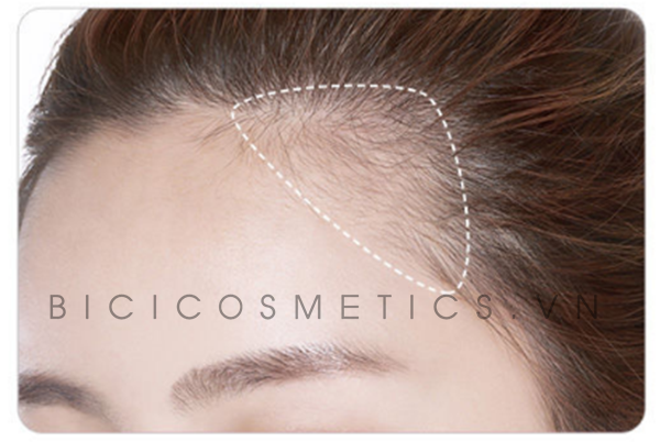 Bút vẽ dày tóc Etude House Photo Hairliner dùng cho vùng tóc thưa