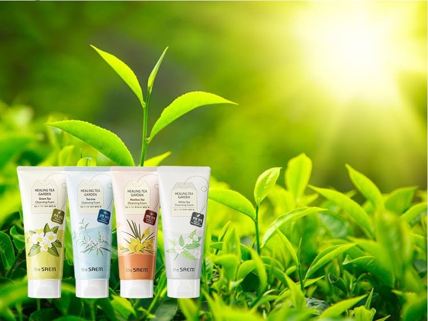 Sữa rửa mặt Healing Tea Garden Cleansing Foam đa dạng với 4 loại sản phẩm