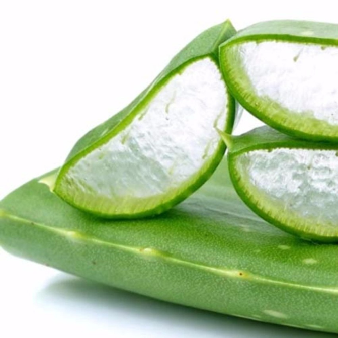 Aloe Vera Soothing Gel mới chứa 100% tinh chất lô hội, được kiểm định bởi CCOF