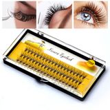  Set 60 Lông Mi Giả 10D Tự Nhiên NESURA Eyelash Nội Địa Trung 