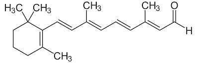 retinal-bicicosmetics.cn