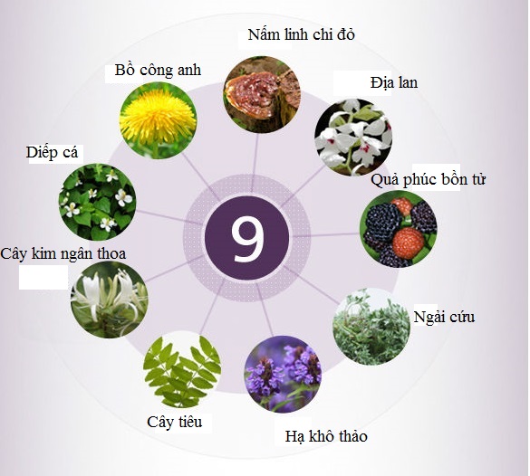 Được làm từ 9 nguyên liệu quý 2 Được làm từ 9 nguyên liệu quý 1