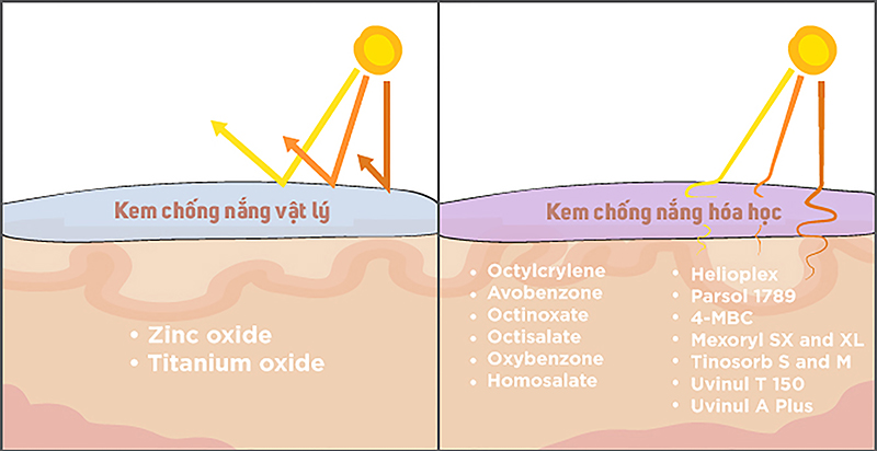 Kem chống nắng - bici cosmetics