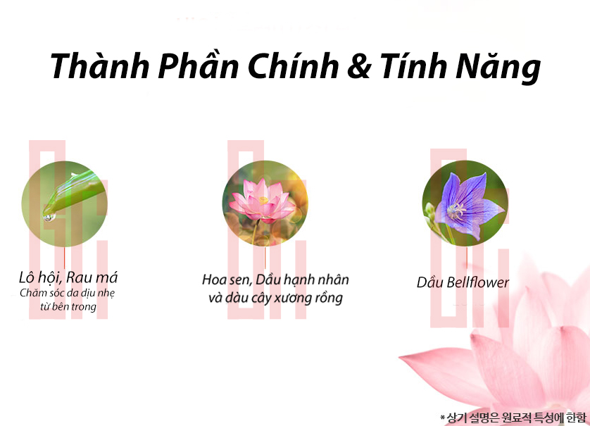 Kem Chống Nắng Welcos KWAILNARA 2 - Bici Cosmetics