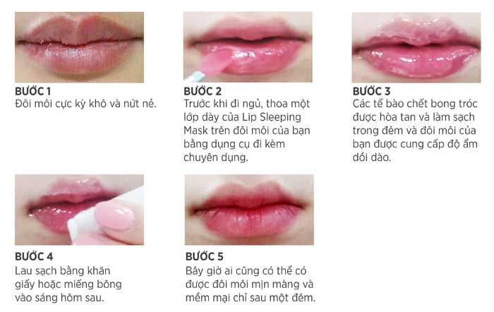 Hướng dẫn sử dụng Laneige Lip Sleeping Mask 1