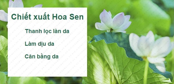 some by me, some by mi, some by mi korea, toner some by mi, some by mi toner, some by mi hàn quốc