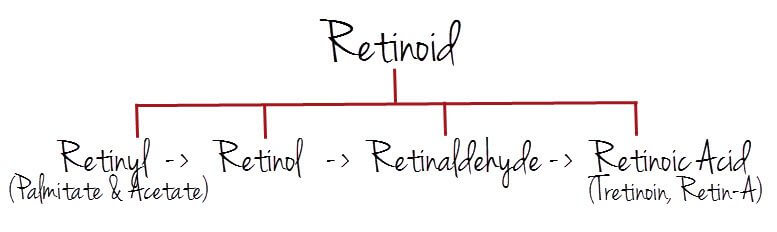 retinoid chong lao hoa-bicicosmetics.vn