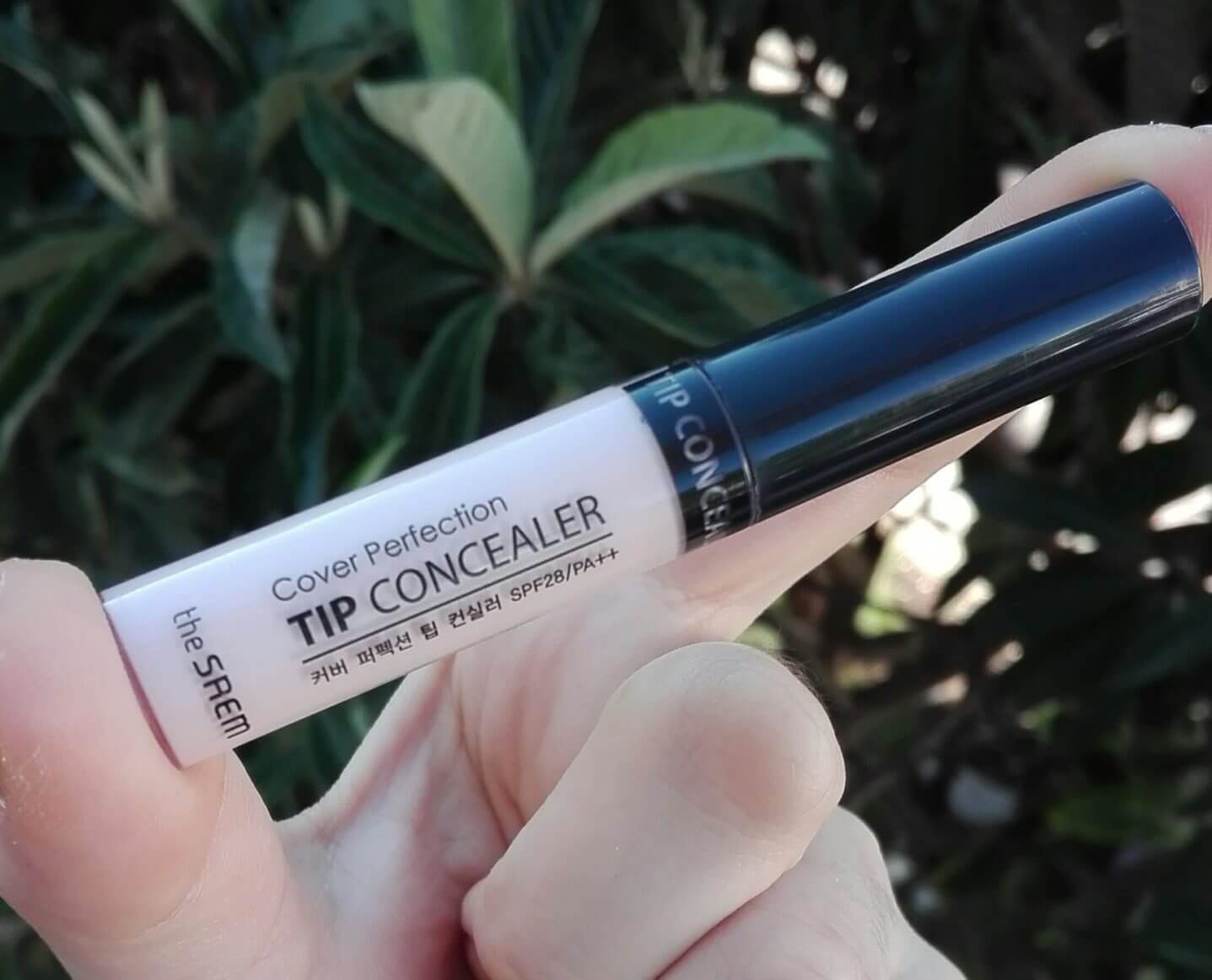  The Saem Cover Perfection Tip Concealer -bicicosmetics.vn
