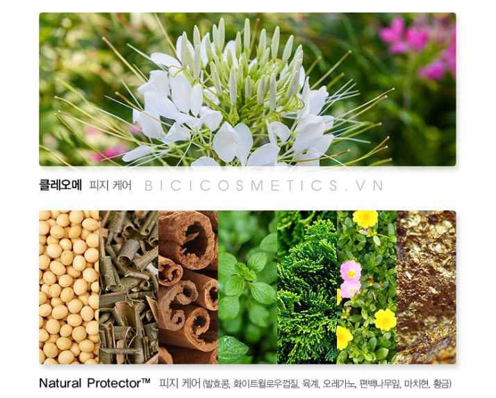 the saem cleome refining essence - bici cosmetics