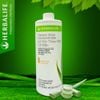 LÔ HỘI THẢO MỘC CÔ ĐẶC HERBALIFE - Hỗ trợ sức khỏe tiêu hóa (473ml)