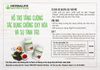 Trà Thảo Mộc Cô Đặc Herbalife - Herbal Tea Concentrate - 51g
