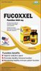 TPBVSK FUCOXXEL FUCOIDAN 1000 mg - nâng cao sức đề kháng, chống oxy hóa, tăng cường hệ thống miễn dịch