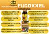 TPBVSK FUCOXXEL FUCOIDAN 1000 mg - nâng cao sức đề kháng, chống oxy hóa, tăng cường hệ thống miễn dịch