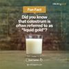 Sữa non COLOS IgGOLD - Bổ sung Vitamin, Canxi, Kháng thể IGg, Lợi khuẩn hệ tiêu hoá (450g/Lon)