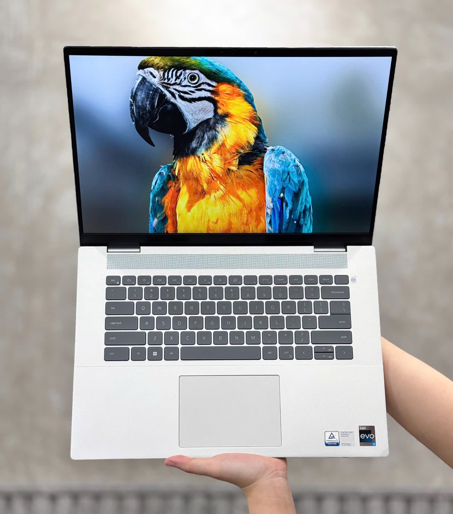 [Open Box] - Dell Inspiron 16 Plus 7630 i7-13700H 32Gb/ 1TB/ 16″ 2.5K