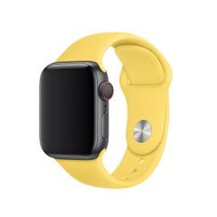 Dây Apple Watch COTEetCI Silicone 42mm